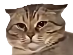 :chauu: