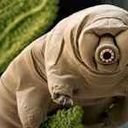 LegoTardigrade