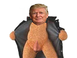 :trump_exhib_:
