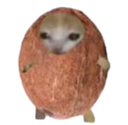 :Chacoco:
