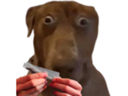 :Teddi-roule:
