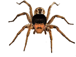 :araignee_pill: