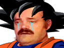 :goku_pleure: