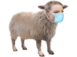 :AnyaMouton: