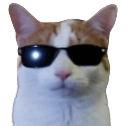 :Chat_cool_lunettes_: