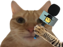 :chatjuif:
