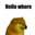 Photo de profil de Sluttershy