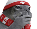 :Phoque_Suisse_chokbar_:
