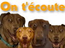 :teddiecoute: