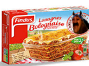 :Lasagne: