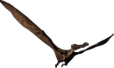 :Cearadactylus: