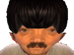 :selzoom: