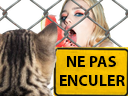 :corbeille4: