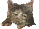 :chat_special: