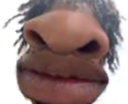 :Singe_Noir: