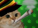 :sodium_weed: