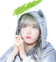 :luda6_2: