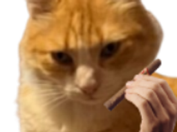 :chatremi: