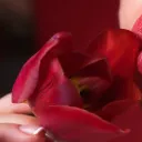 JolieFleur