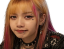 :LisaPunkV3: