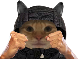 :chat_poings: