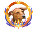 :toutou_cercle: