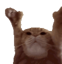 :Chat_danser: