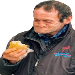 :bordonbirate: