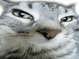 :serpent_pervers: