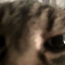 :chatzoom14: