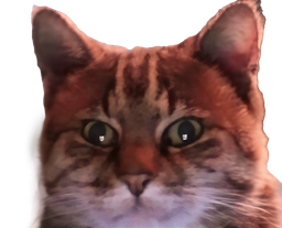 :chatzoom3: