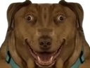 :Teddi-Taraxv4: