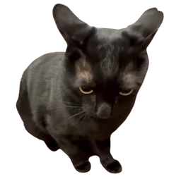 :ATK: