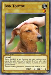:Toutou: