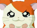 :Hamtaro_convaincu: