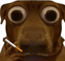 :teddicig: