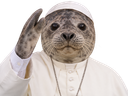 :mifoca: