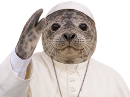 :mifoca: