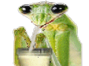 :mantecotetchatcharealsmooth: