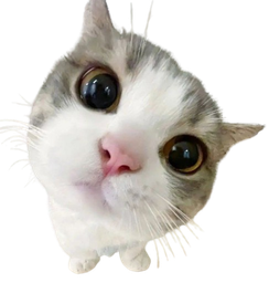 :Chatoucontent:
