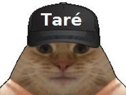 :chat_tare: