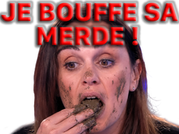 :merde4: