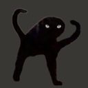 :Angry_cat: