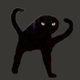 :Angry_cat: