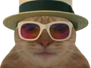 :chat_miami: