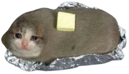 :drop_le_sad_water_cat: