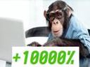 :Crypto_trader_winner_monkey:
