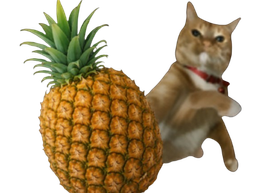 :Catananass: