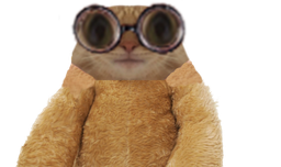 :chat_lunette_peluche2: