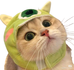 :Chaat_bonnet: